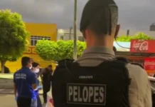Policial civil é preso suspeito de matar dois colegas dentro de viatura em Delmiro Gouveia (AL)