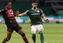 Chances de título: Palmeiras tem 52% após primeira derrota em casa; Flamengo chega a 39%